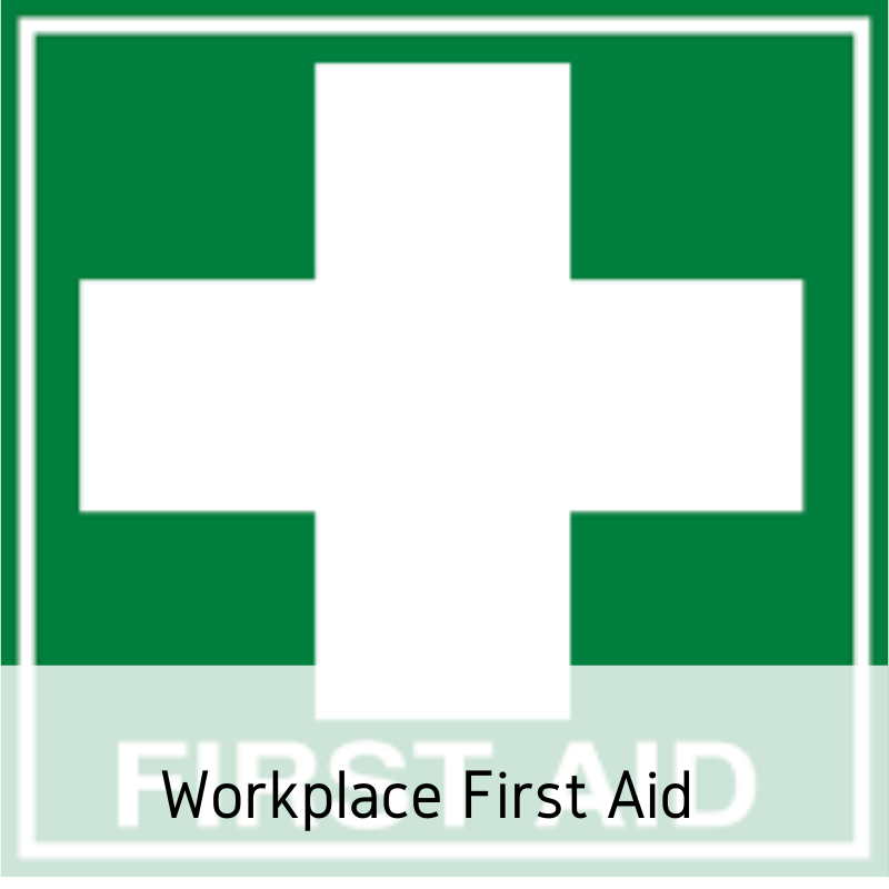 First Aid Certificate with Charli Crocker Peak Safety Waiheke Adult Learning