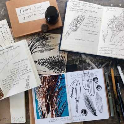 Creative Nature Journaling with Monica Peters